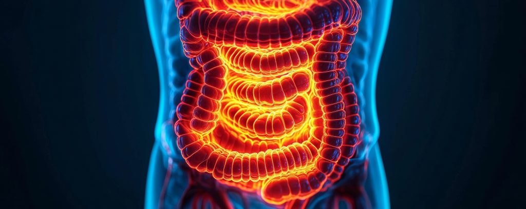 Gut Inflammation