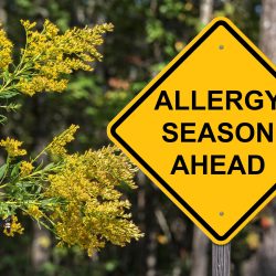 Allergy Season Sign with pollen and weeds